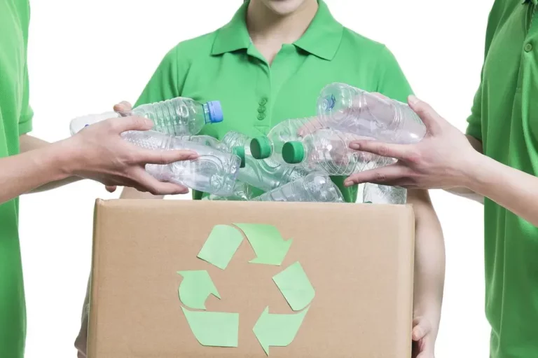 Environmental volunteers recycling bottles